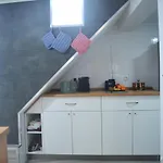 O Pequeno Ninho *